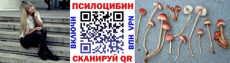 Галлюциногенные грибы мухоморы  дарнет шоп  Оханск 